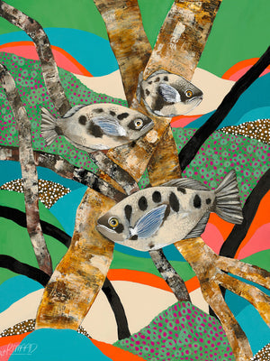 Take Aim, Archerfish. A fun loving and colourful artwork or fish in the mangroves. Available at rimaad.com