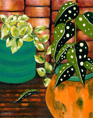 Original Artwork of indoor plants in Orange Boho Pot by Rachel Ireland Meyers Buy Now 