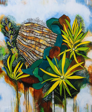 Original Art of an Australian Banksia by Rachel Ireland Meyers Cairns Australia Buy Now