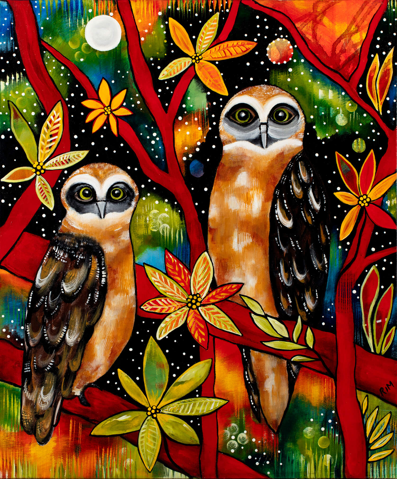 The Boobook Brothers (The Boobook Owls)