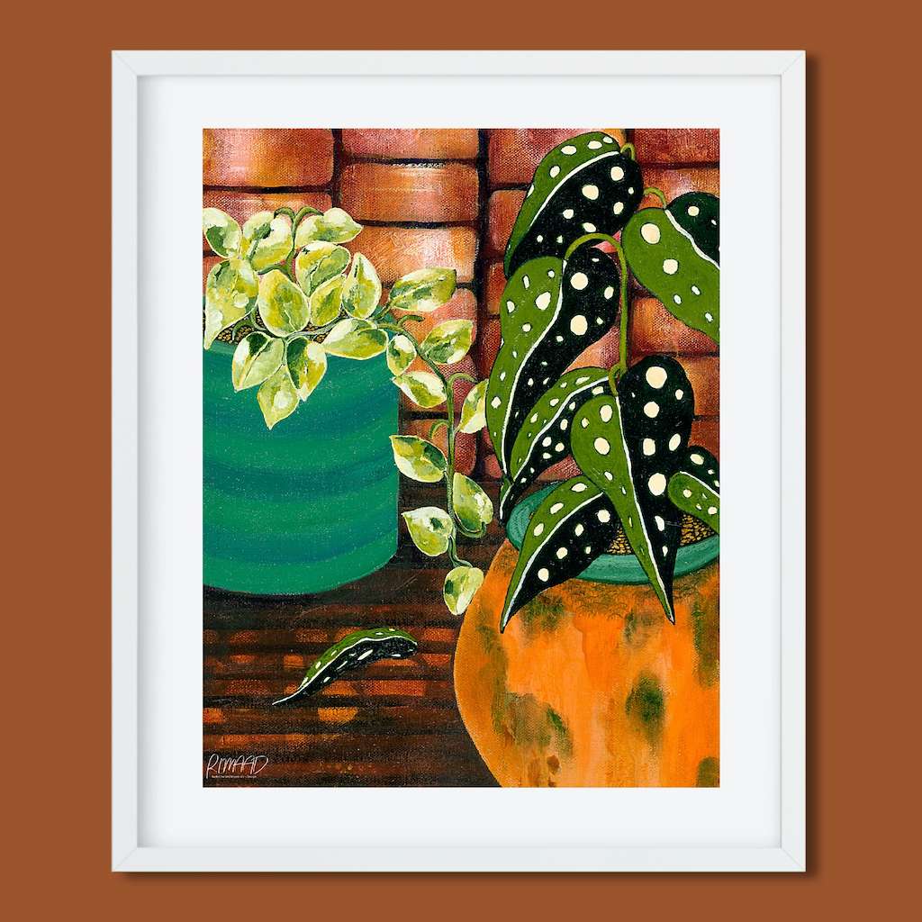 Limited Edition Fine art print of Indoor Plants and Orange Boho Pot by Rachel Ireland Meyers Buy Now 