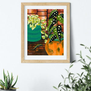 Limited Edition Fine art print of Indoor Plants and Orange Boho Pot buy now RIMAAD 
